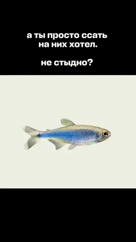 A post by @aviasales on TikTok caption: честно, неприятно 