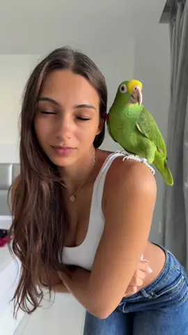 A post by @giuliaottorini on TikTok caption: Guapo che si tiene all’orecchio per non cadere😭😭😭