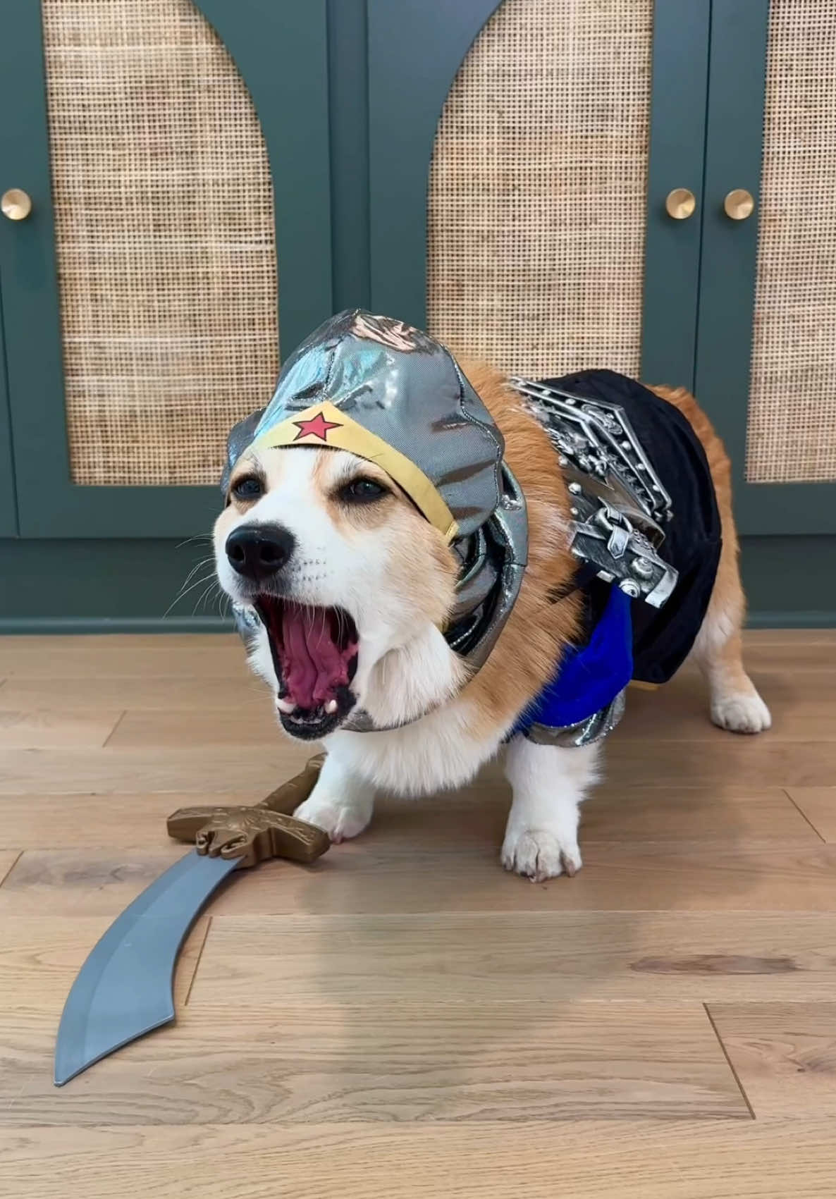 A post by @hammyandolivia on TikTok caption: The fate of Mytherra is in his paws! Download MythWalker (link in bio) and see why the next generation of mobile games is already here! #mythwalkerpartner 