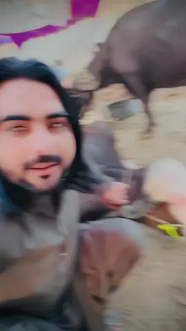 A post by @saddam.sani.official94 on TikTok caption: Filter 🤣🤣@🦅Saddam☆Sani🦅 #saddam_sani_official_93 #🤣 