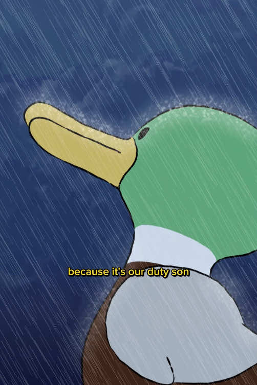 A post by @naturalhabitok on TikTok caption: Fun Fact: Ducks are often seen standing still in the rain. Most think it’s because their waterproof feathers keep them dry and that staying still helps conserve energy, but we have our own theory🦆🌧️🐥 #naturalhabitok #naturalhabitatshorts #naturalhabitat 