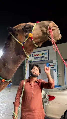 A post by @shahzaib_veer on TikTok caption: Kab Aa Rahe Ho Veer’s Salon ? 😂 