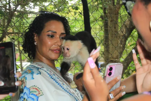 A post by @sheraseven1theoriginal on TikTok caption: 🏝️✨🏝️✨✨🐒🦜🐹