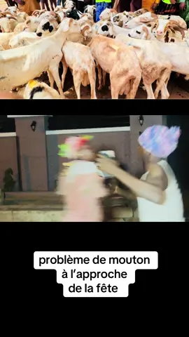 A post by @comediedjenebou on TikTok