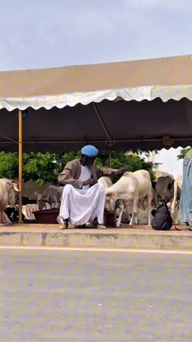 A post by @diopnostress1 on TikTok caption: Kouné Sénégal nékhoul amo connexion 😂🥰🇸🇳