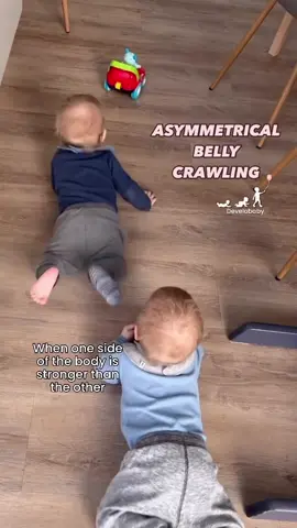 A post by @develobaby on TikTok caption: Many babies with asymmetrical development also start to belly crawl asymmetrically, using one leg to push and the opposite arm to pull. This occurs because one side of their body is stronger than the other. If the asymmetry is minor, the baby will likely reach the all-fours crawling milestone eventually, though it might be somewhat delayed. However, if the asymmetry is more pronounced, the baby may learn to sit up and bum-scoot instead of crawling because the weaker leg and arm can’t stabilize the all-fours crawling position. To help your baby strengthen the weaker side, you can use my program “Asymmetrical Belly Crawling,” which includes best practice physical therapy tips and exercises.  There are two programs: one for when baby uses the right leg and one for the left leg. In this video, the first twin uses his right leg and the second uses his left leg. Many babies with asymmetrical development also start to belly crawl asymmetrically, using one leg to push and the opposite arm to pull. This occurs because one side of their body is stronger than the other. If the asymmetry is minor, the baby will likely reach the all-fours crawling milestone eventually, though it might be somewhat delayed. However, if the asymmetry is more pronounced, the baby may learn to sit up and bum-scoot instead of crawling because the weaker leg and arm can’t stabilize the all-fours crawling position. To help your baby strengthen the weaker side, you can use my program “Asymmetrical Belly Crawling,” which includes best practice physical therapy tips and exercises.  There are two programs: one for when baby uses the right leg and one for the left leg. In this video, the first twin uses his right leg and the second uses his left leg. With love, Maria ♥️ . . . . . #Babypt #paediatricpt #paediatricot #strongbaby #babyexercises  #babyhack  #newborn #babyexercise #nappychange #asymmetricalbellycrawling #exercisecourse  #momhack #babyplay #motordevelopment  #montessoriparenting #montessori #flathead #babytips #babydevelopment #plagiocehaly With love, Maria ♥️ . . . . . #Babypt #paediatricpt #paediatricot #strongbaby #babyexercises  #babyhack  #newborn #babyexercise #nappychange #asymmetricalbellycrawling #exercisecourse  #momhack #babyplay #motordevelopment  #montessoriparenting #montessori #flathead #babytips #babydevelopment #plagiocehaly