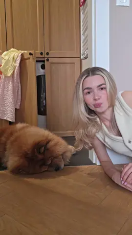 A post by @kompleksiaraxx on TikTok caption: hey