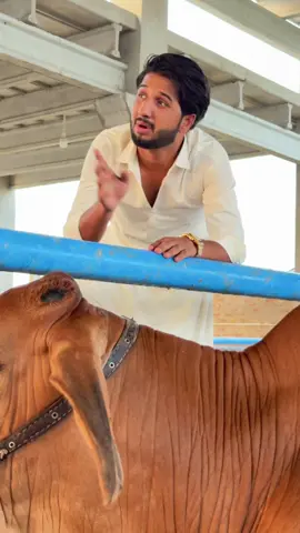 A post by @shahzaib_veer on TikTok caption: Yeh Bat Bhi Thk Hai 😂
