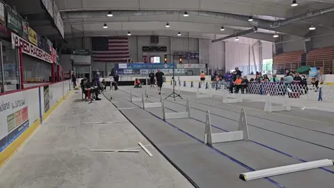 A post by @hollabackbullies on TikTok caption: Feels good to get this girl back in the lanes 5 weeks post whelp 🥰 #flyball  #boxturn  #workhardplayhard  #staffordshirebullterrier  #run 