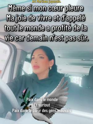 A post by @nunchakurebelleofficiel on TikTok caption: #nunchakularebelle #♓️🇲🇦🇩🇿🇩🇿🇹🇷🇹🇳🇩🇿🇫🇷🇫🇷 #libertedexpression #♓️♓️♓️♓️♓️ #🥋🥊🇫🇷 #nunchakularebelle 