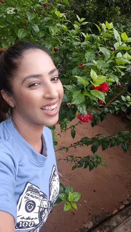 A post by @thrikala_dharani on TikTok caption: සුදු වෙන්න කෙට්ටු වෙන්න තව බෙහෙතක් ☘️🌹  #fppppppppppppppppppp #fyp #fyy #foryou #gampahaඅපි🌺 #fypage #thrikaladharani #topmodelsbythrikaladharani #fy #fyyyyyyyyyyyyyyyy #foryoupage 