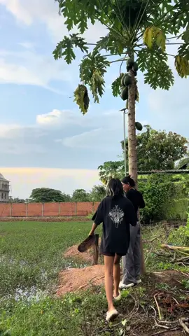 A post by @infinityofsteavkhaet on TikTok caption: ក្រោយធ្លាក់ភ្លៀង🌱#nimnounkpc #cambodian #foryourpage #viral #funnyvideo #fyp #happyfamily 