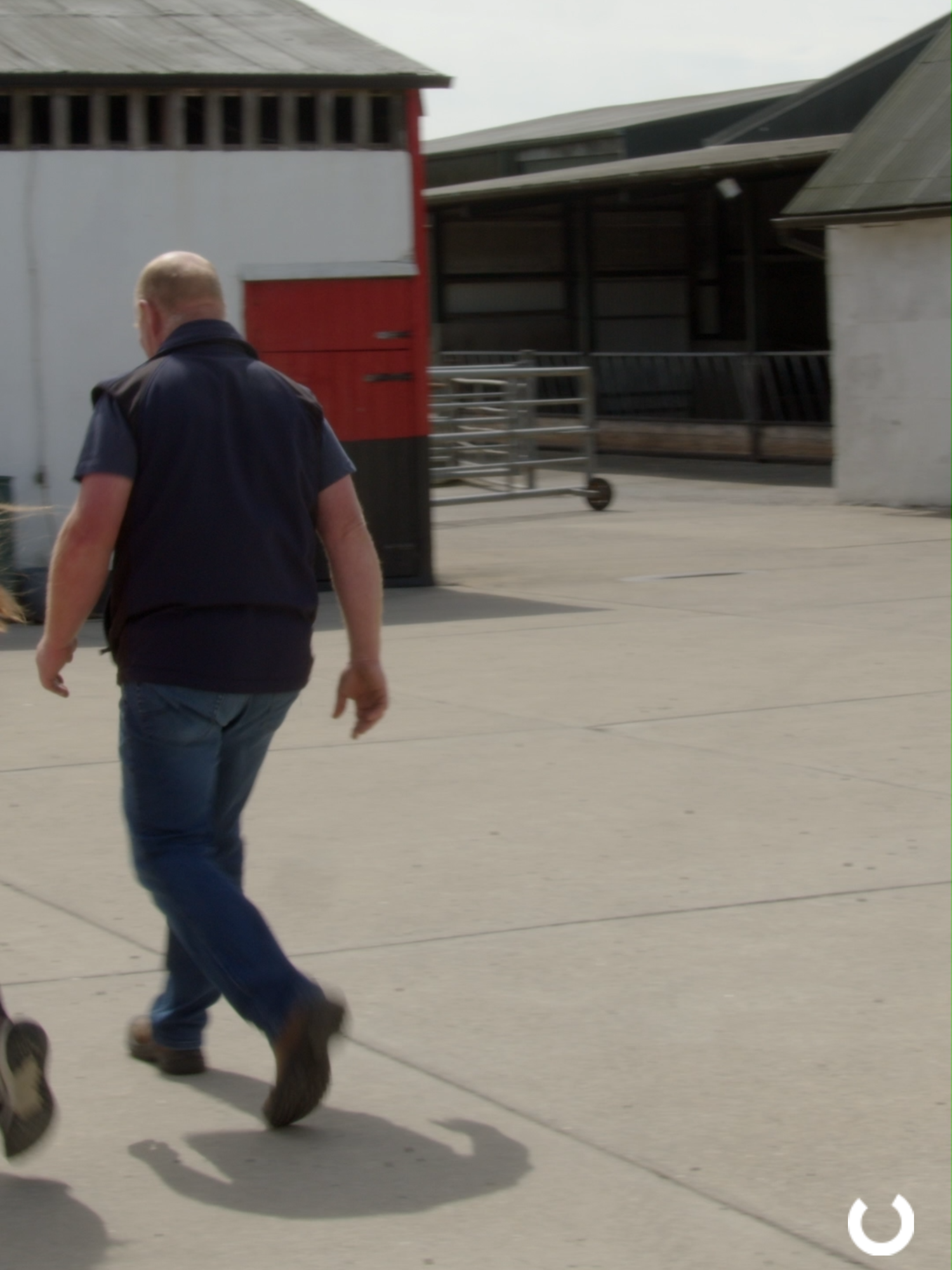 A post by @agriland.ie on TikTok caption: Coming up on Agriland this weekend, we meet Wexford farmer Sean Tracey who is milking 66 cows with his young daughter Amelia's help. #farming