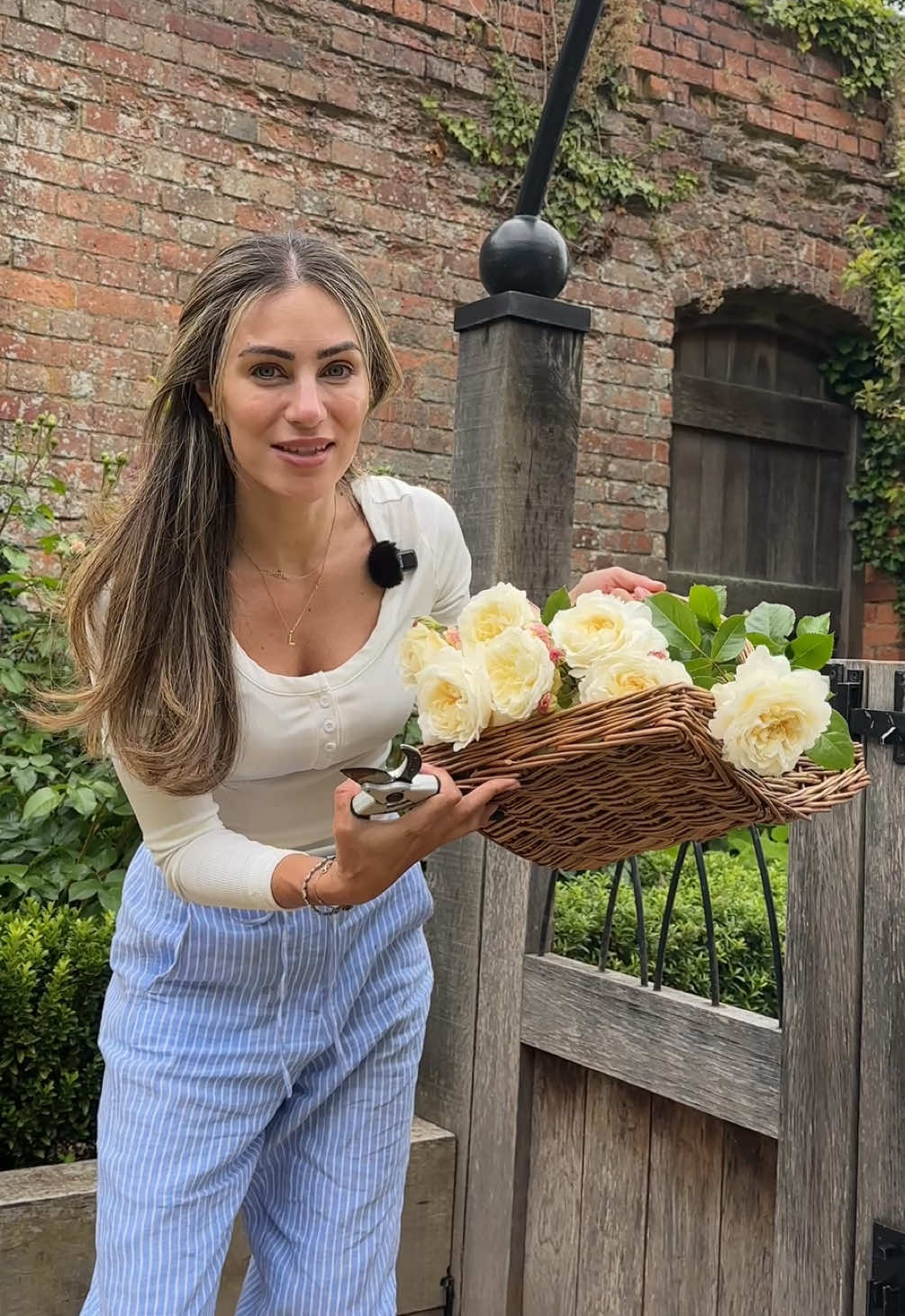 A post by @lydiamillen on TikTok caption: This might be too niche #gardenhaul #rosehaul #hermeshaul #gardentour 