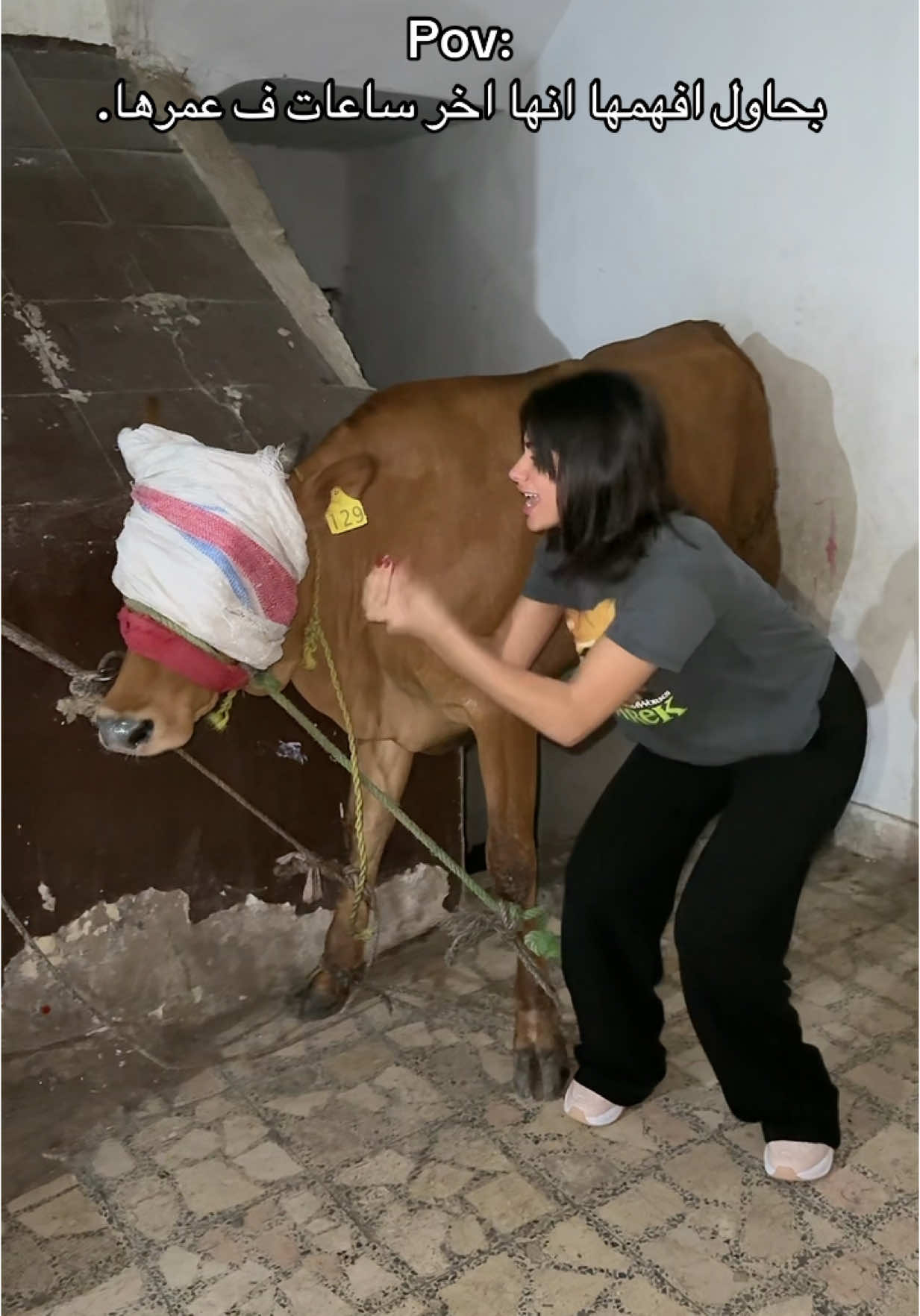 A post by @aml.samirr on TikTok caption: المشكله اني الي هقوم بيها😂😂