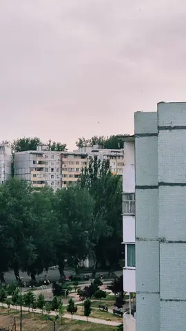 A post by @provodnik_potoka on TikTok caption: Ласточки 