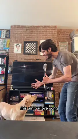 A post by @yuvaltheterrible on TikTok caption: Please, we don’t have to critique literally everything. Feel free to clip me at the end to make fun of me. Still, song is an absolute banger. 