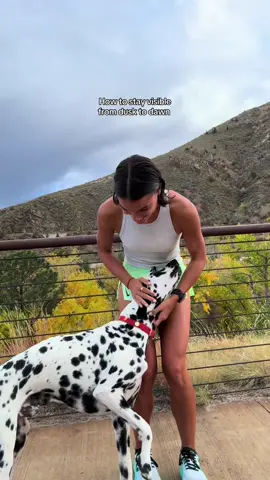 A post by @ruffweardogs on TikTok caption: Hot days = early/late runs. Stay seen! Lumenglow Vest or Beacon Light 🔦 Thanks @capri_and_me for putting our gear to the test! #Ruffwear #NightRun #DogGear