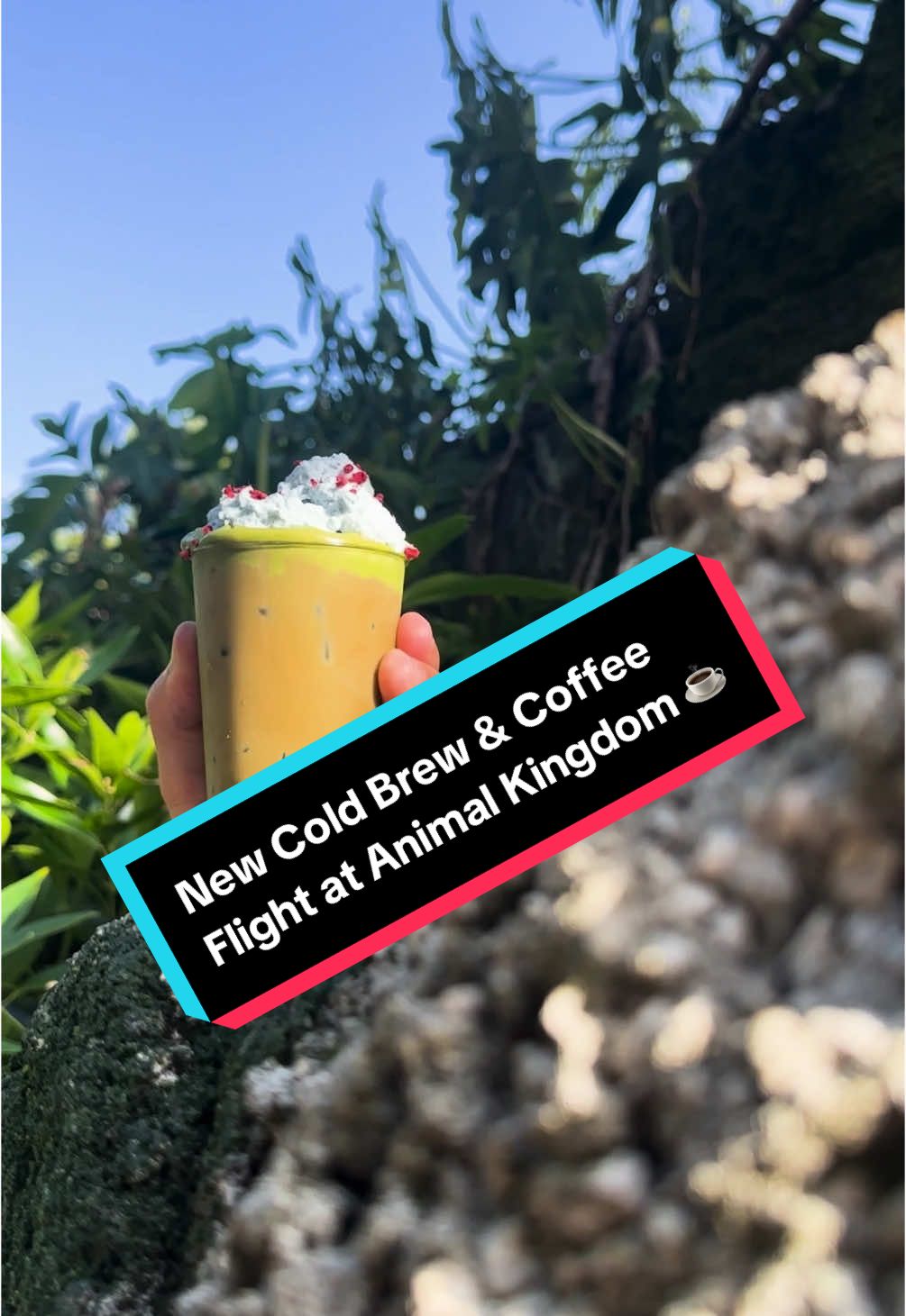 A post by @disneyparks on TikTok caption: What’s emerging out of Satu’li Canteen?! 👀☕️ Don’t miss the all-new cold brews AND a coffee flight landing at Disney's Animal Kingdom Theme Park at Walt Disney World! 🧋 Specialty Coffee: Ube – Joffrey’s Coffee Cold Brew with ube, oat milk, pure cane syrup, and butterfly pea flower 🧋 Specialty Coffee: Matcha – Joffrey’s Coffee Cold Brew with matcha, oat milk, and pure cane syrup 🧋 Specialty Coffee: Cold Brew – Joffrey’s Coffee Cold Brew with oat milk and pure cane syrup 🧋 Cold Brew Coffee Flight #DisneyEats #DisneyParks #DisneyWorld #AnimalKingdom #SatuliCanteen #ColdBrew