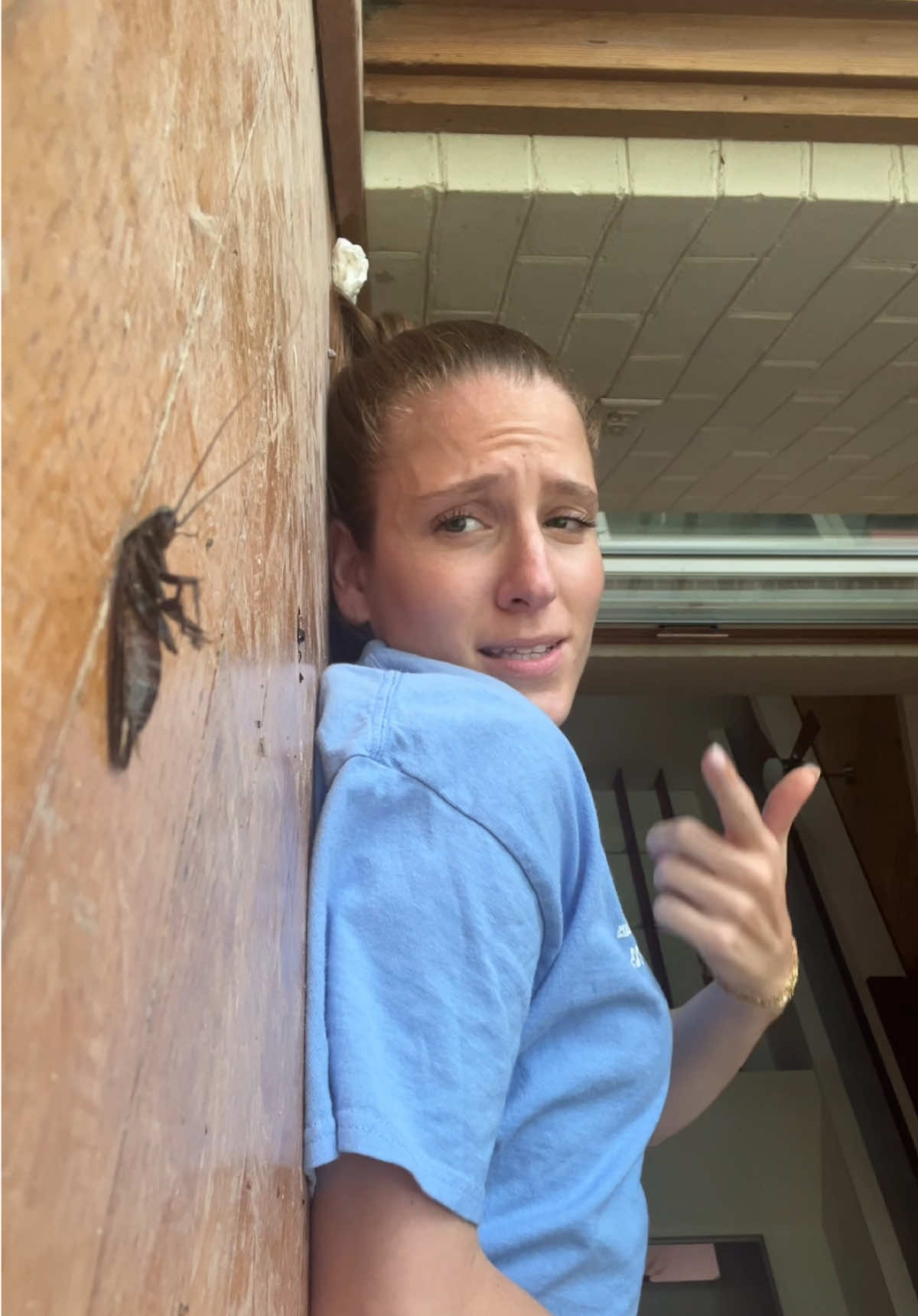 A post by @rachsullivan__ on TikTok caption: That guy on your fyp page 