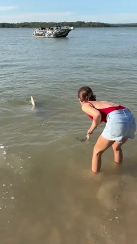 A post by @mattwrightau on TikTok caption: Father‘s daughter Apple doesn’t fall far from the tree. Great to see you enjoying the adventures and wildlife at @Mia Thomas  #wild  #shark  #australia 