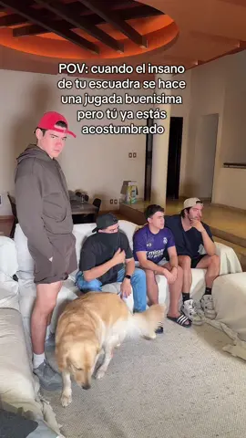 A post by @thedonato on TikTok caption: TENGO EL CELULAR OFICIAL DE FREE FIRE 😎 El realme 14T es el mejor celular para jugar Free Fire 🔥 @realme México #realme14TBooyah #realme #realmemx #realme14T #freefire 
