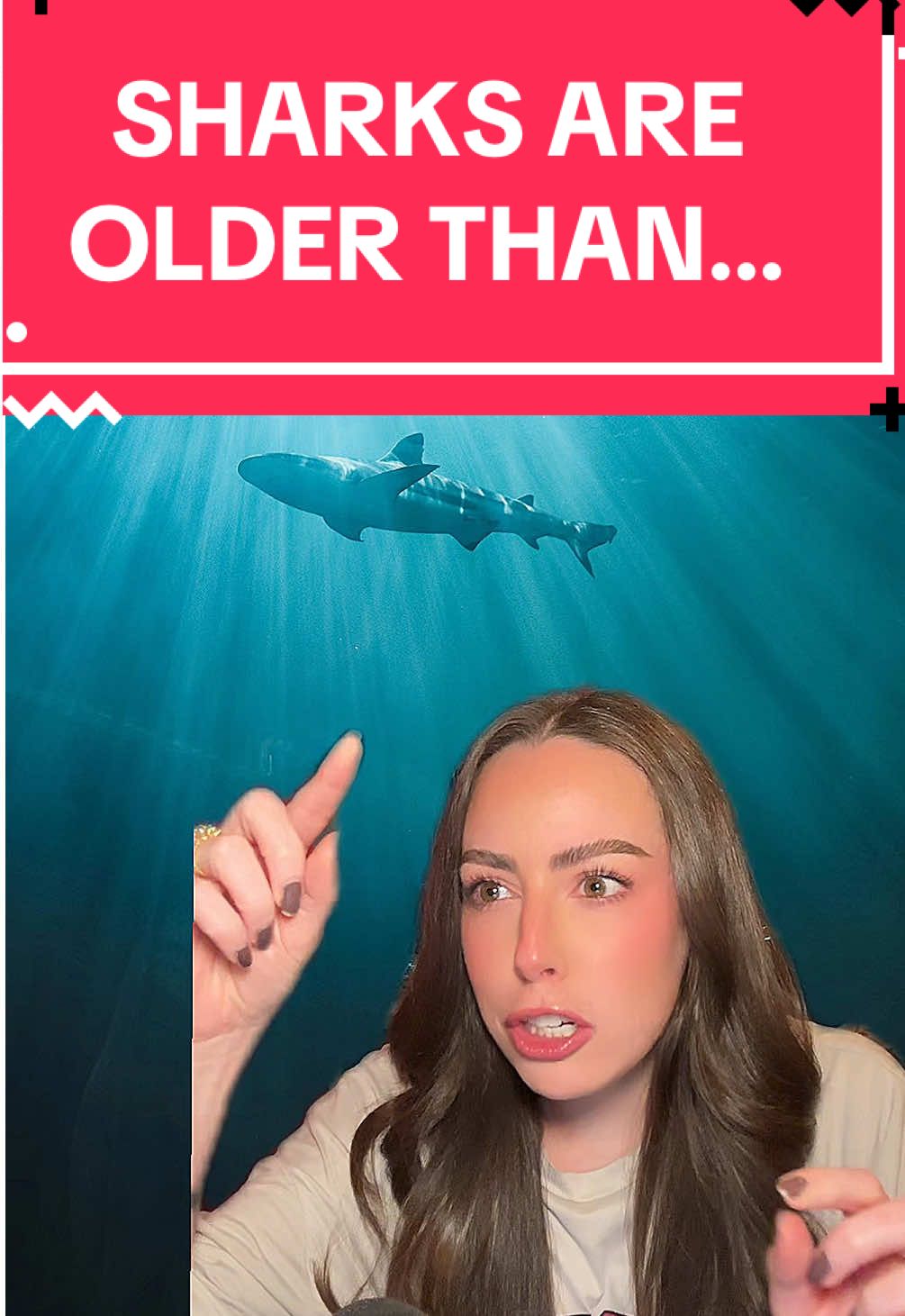 A post by @astro_alexandra on TikTok caption: Sharks are older than… most things #space #astronomy #planets #earth #animalfacts #tiktoklearningcampaign  