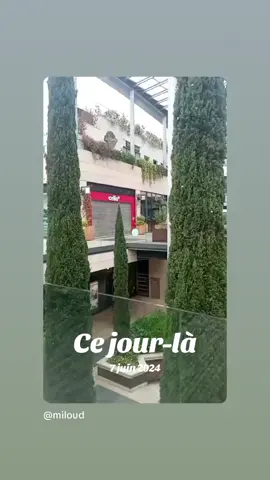 A post by @miloudsaidan on TikTok caption: #cejour-là