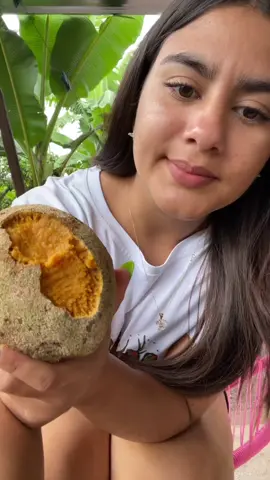 A post by @banessa12318 on TikTok caption: #parati #viral #lomasrico #saluditos❤ #🌿😍 #elcamponopara👨‍🌾🌱🌱 #pa #viral #buenasnoches #buenamusica 