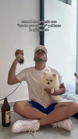 A post by @angelitodelaa on TikTok caption: 🐶