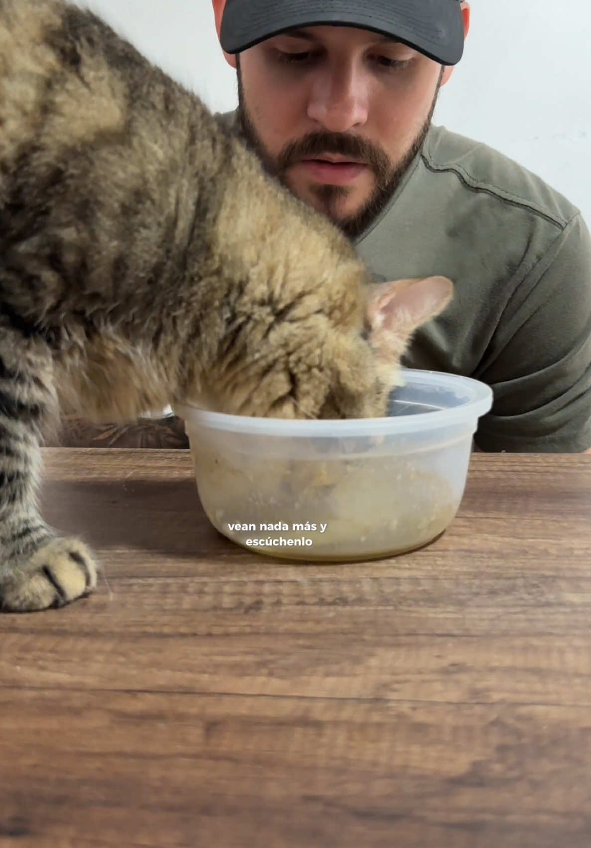 A post by @chemanimals on TikTok caption: CUIDA A TU GATO DE ESTO!