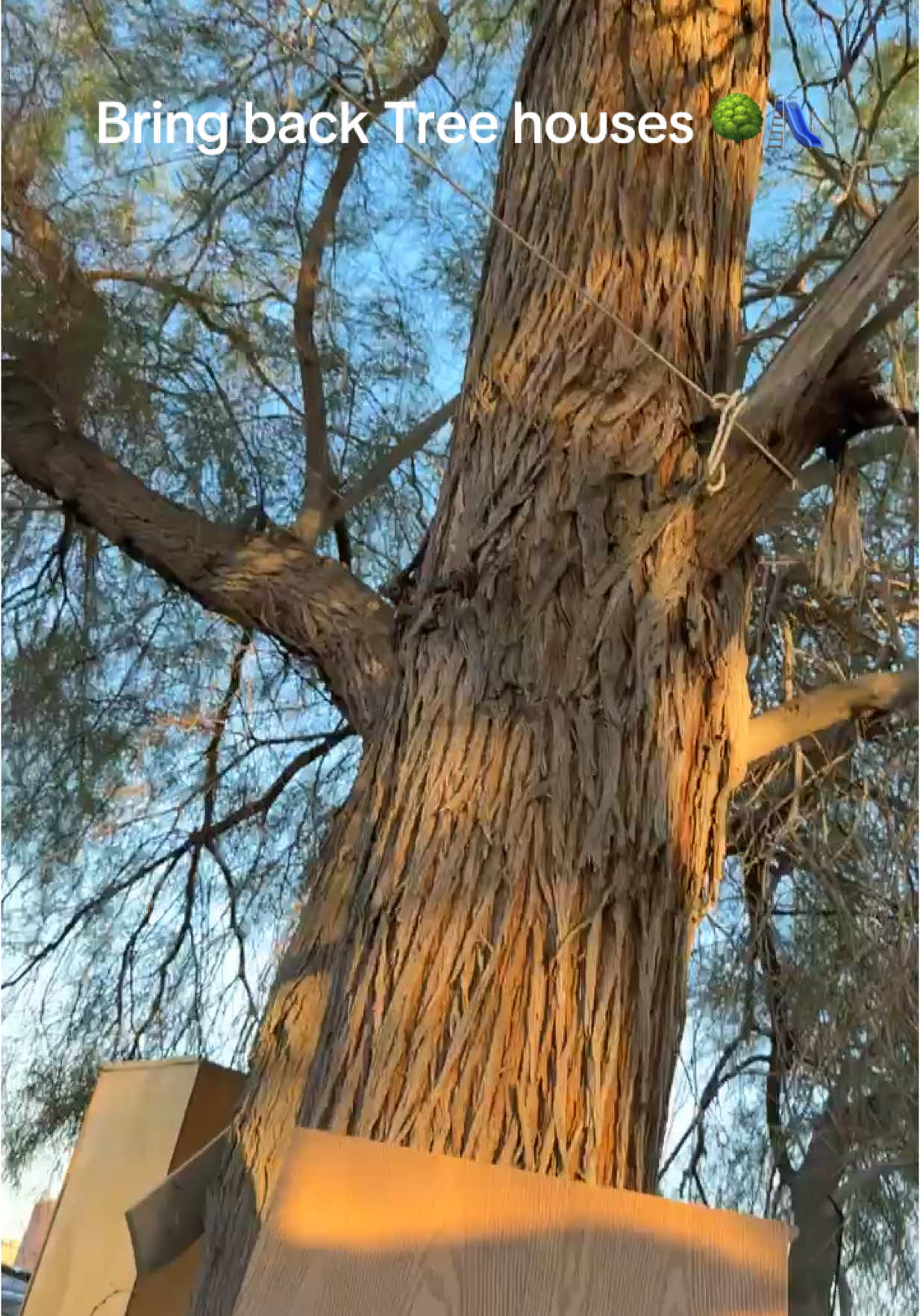A post by @adrian_peru on TikTok caption: I’m tired of seeing these kids on IPads all day… 🙄🙄🙌🏾🛝🌳🧗🏻 #TreeHouse #Nostalgia #Homemade #Outdoors #NewGeneration #Climb #Swing #ZipLine 