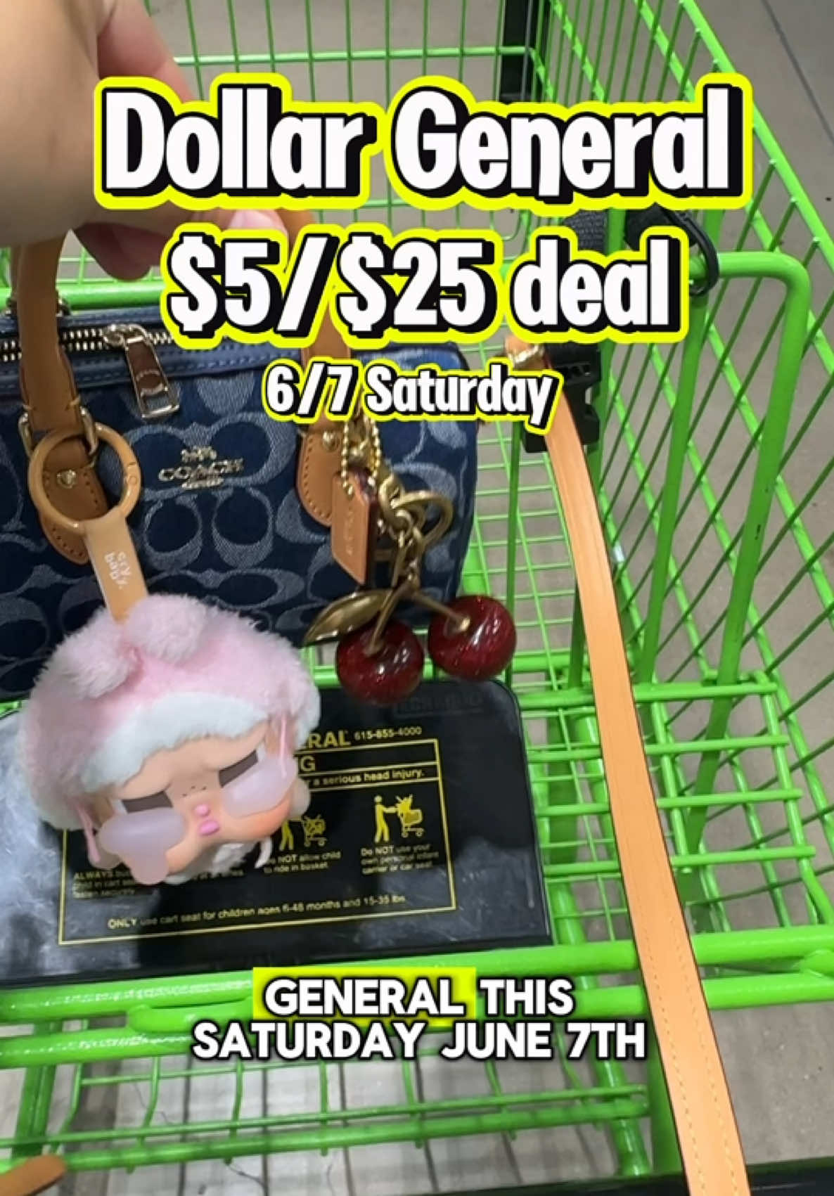 A post by @citycouponmom on TikTok caption: Dollar General $5/$25 deal I plan on doing this Saturday 6/7!  💕 Make sure subtotal is $25  💕 6/7 Saturday only  #dollargeneral #dollargeneralcouponing #dollargeneraldeals #coupontok #couponing 