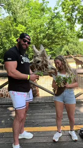 A post by @brandy0147 on TikTok caption: Memphis zoo 2025 with my love