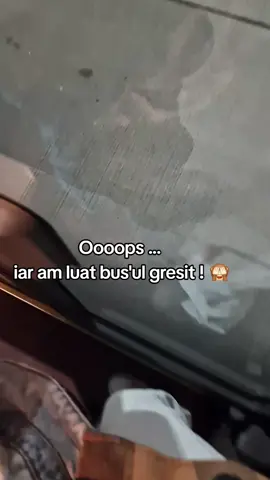 A post by @lenghenandreea on TikTok caption: Cel mai fain bus ! 😝 #foryoupage❤️ #fyp #airport #holiday #fyyyyyyyyyyyyyyyy #😍 