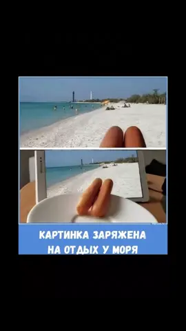 A post by @aviasales on TikTok caption: ВЫ ПОНЯЛИ? а ха-ха-ха