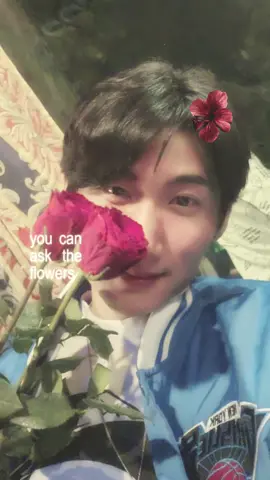 A post by @nobitajunn on TikTok caption: #CapCut 꽃보고 싶다 🍺 #케미캐스트 #flowers #fypシ゚viral🖤tiktok #f 