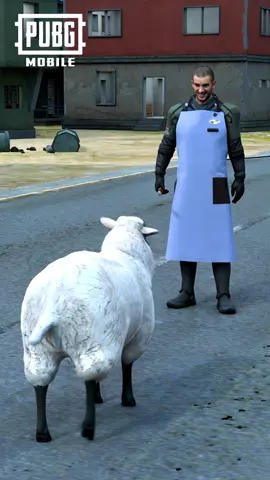 A post by @pubgm_mena on TikTok caption: إحدى مغامرات فيكتور في العيد! 🐑🏃😄 #ببجي_موبايل #ببجي #PUBG #PUBGMOBILE