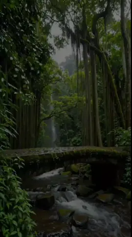 A post by @ahmet_yuusuf on TikTok caption: لَّا یَسۡتَوِی ٱلۡقَـٰعِدُونَ مِنَ ٱلۡمُؤۡمِنِینَ غَیۡرُ أُو۟لِی ٱلضَّرَرِ وَٱلۡمُجَـٰهِدُونَ فِی سَبِیلِ ٱللَّهِ بِأَمۡوَ ٰ⁠لِهِمۡ وَأَنفُسِهِمۡۚ فَضَّلَ ٱللَّهُ ٱلۡمُجَـٰهِدِینَ بِأَمۡوَ ٰ⁠لِهِمۡ وَأَنفُسِهِمۡ عَلَى ٱلۡقَـٰعِدِینَ دَرَجَةࣰۚ وَكُلࣰّا وَعَدَ ٱللَّهُ ٱلۡحُسۡنَىٰۚ وَفَضَّلَ ٱللَّهُ ٱلۡمُجَـٰهِدِینَ عَلَى ٱلۡقَـٰعِدِینَ أَجۡرًا عَظِیمࣰا  [Surah An-Nisāʾ: 95] #surahannisa #tobecontinued #quran #quran_alkarim #القران_الكريم #quranrecitation #sheikhsalahbukhatir #foryoupage❤️❤️ #muslim #somalitiktok #ahmetyuusuf 
