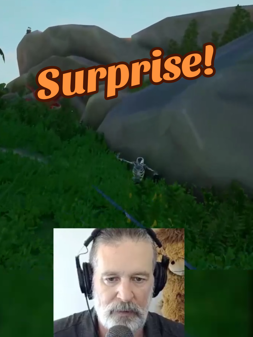 A post by @naturalgeekery on TikTok caption: Always expect the skellie inquisition!  Hijinks on the high seas with  @Dylan !  Come join the fun.  I'm streaming nearly every day on #twitch !