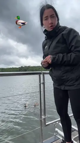 A post by @belladollgermany on TikTok