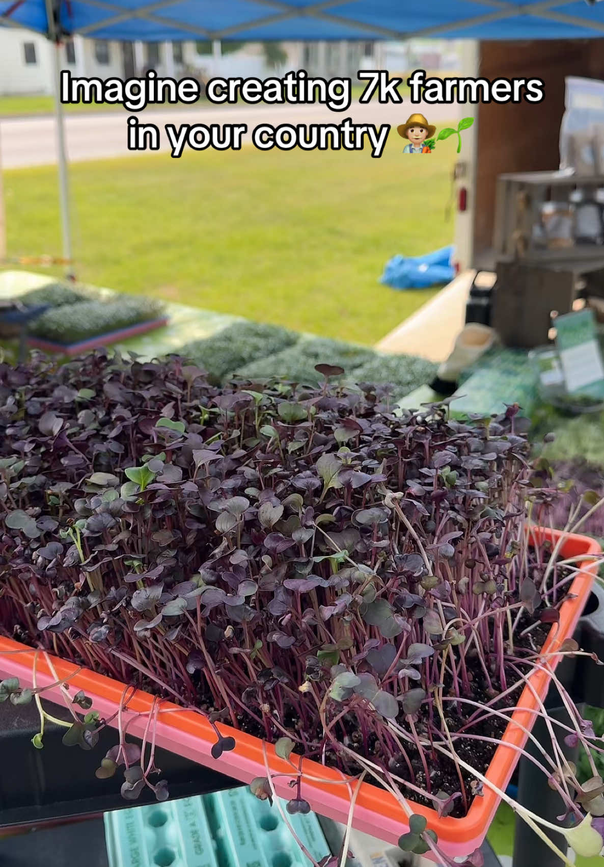 A post by @blohmtreezy on TikTok caption: Legend has it, this guy is still at a farmers market harassing common folk into starting their own business 