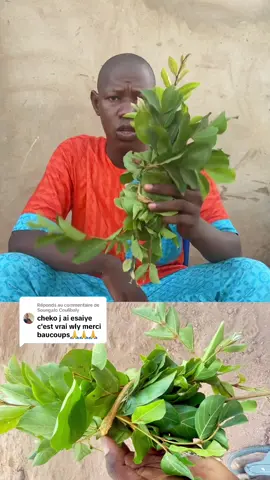 A post by @chekokafayida1 on TikTok caption: Réponse à @Soungalo Coulibaly 