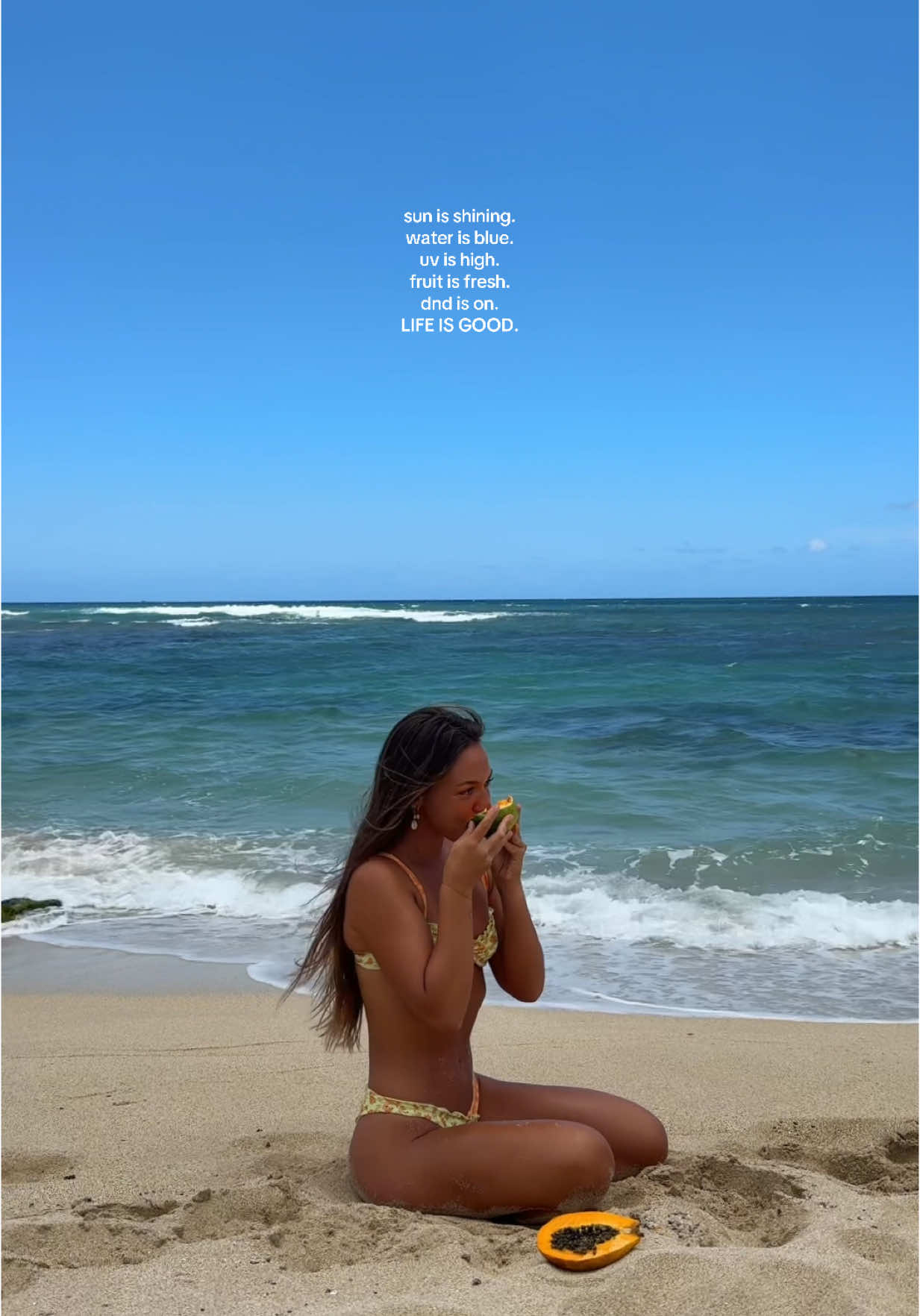 A post by @zoe_davis on TikTok caption: what more could u ask for 