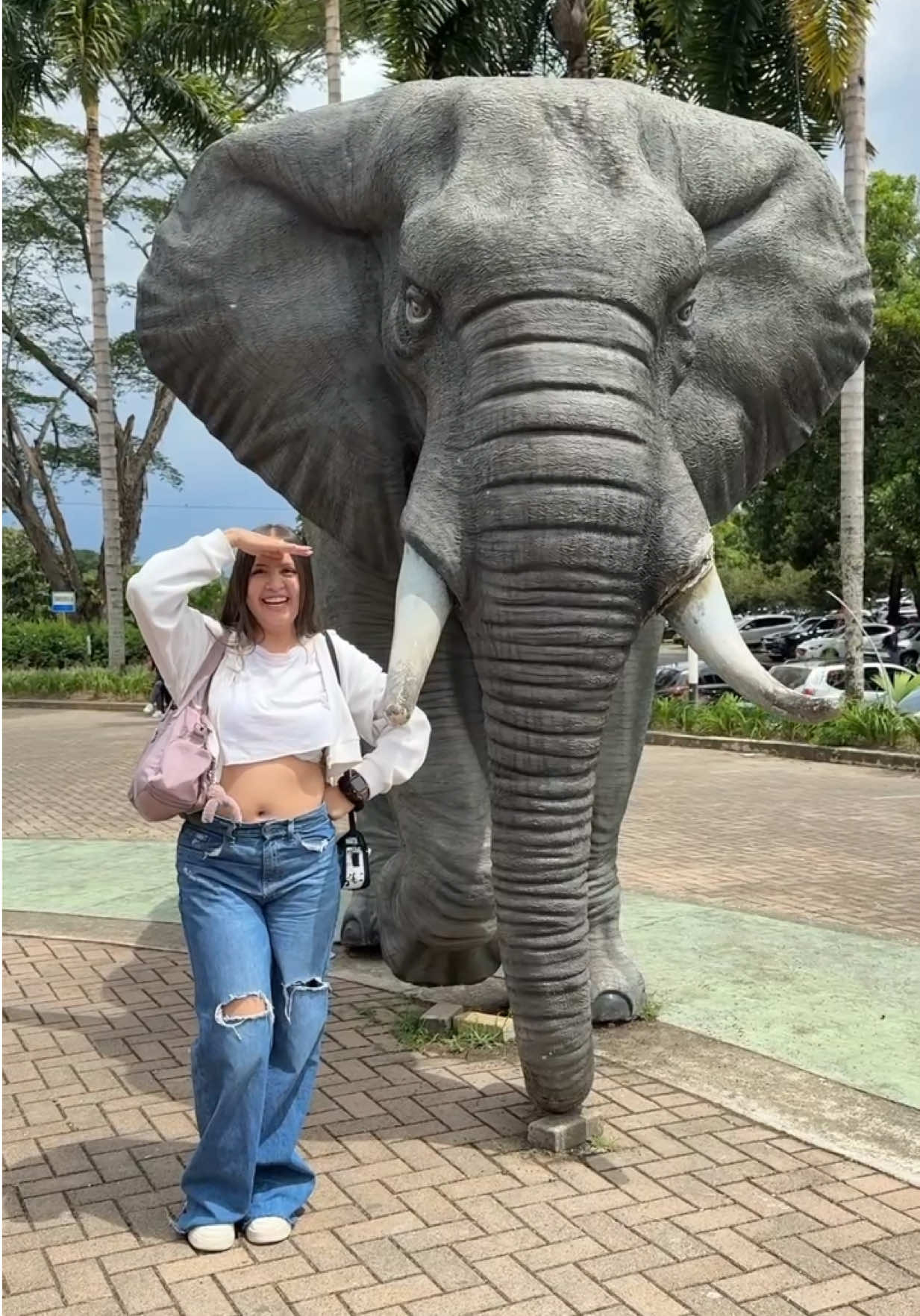 A post by @daniela_giraldo1 on TikTok caption: Vamos con mi sobrino al zoológico por primera vez 🥹❤️ #giraldos #fyp 