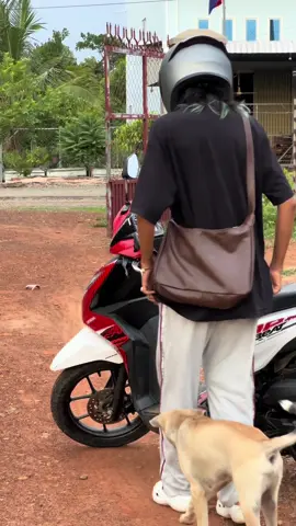 A post by @infinityofsteavkhaet on TikTok caption: ផុសម៉ោង1:35am☺️🌱#nimnounkpc #cambodian #foryourpage #viral #funnyvideo #fyp #dog 