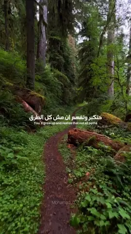 A post by @mohamad_0_7 on TikTok