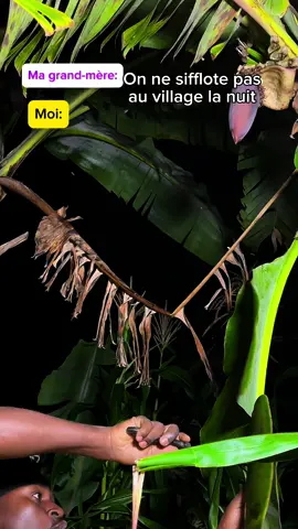 A post by @mr_seksii on TikTok caption: On ne sifflote pas la nuit 😂🇨🇲🙌#camerountiktok🇨🇲 #viraltiktokvideo #viral 
