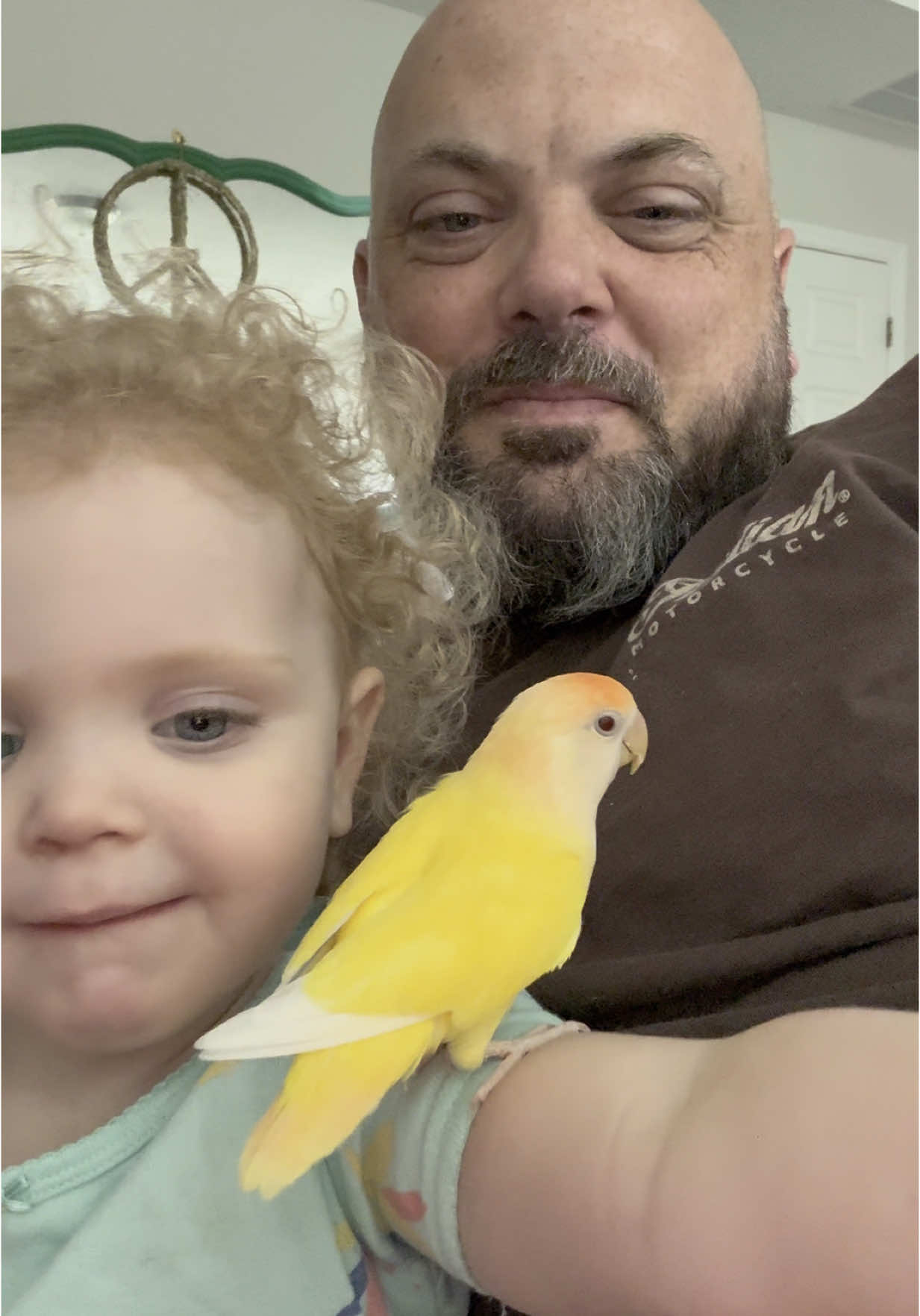 A post by @blueplanetpets on TikTok caption: As it is tradition, Scarlett is now a bird handler. Don’t worry, Chica is a trained professional and had helped all 4 kids understand the ways of the wing. #parrot #lovebird #aviculture #petbird #birds #pets 