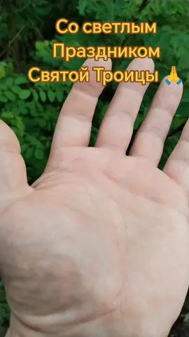 A post by @pomocch on TikTok